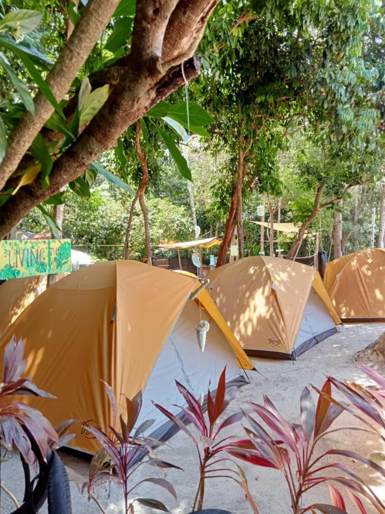 Redang Campstay Exteriér fotografie